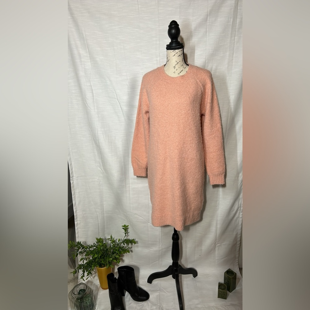 Loft / Blush sweater dress. Fits beautifully. Very comfortable and versatile.